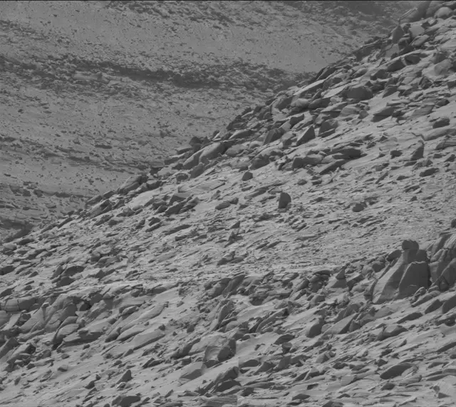 Sol 4444: Mast Camera (Mastcam)