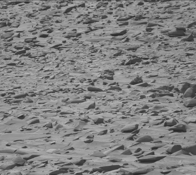 Sol 4444: Mast Camera (Mastcam)