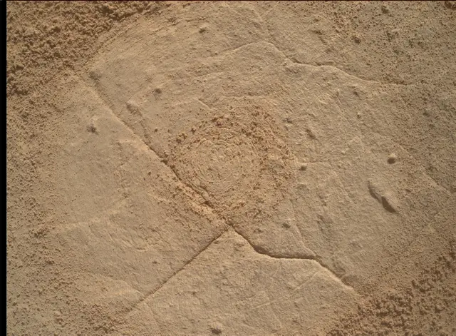 Sol 4445: Mars Hand Lens Imager (MAHLI)