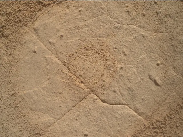 Sol 4445: Mars Hand Lens Imager (MAHLI)