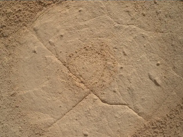 Sol 4445: Mars Hand Lens Imager (MAHLI)