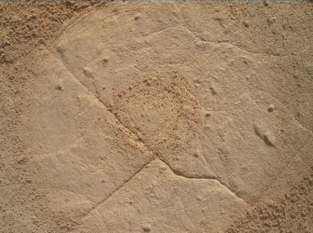 Sol 4445: Mars Hand Lens Imager (MAHLI)