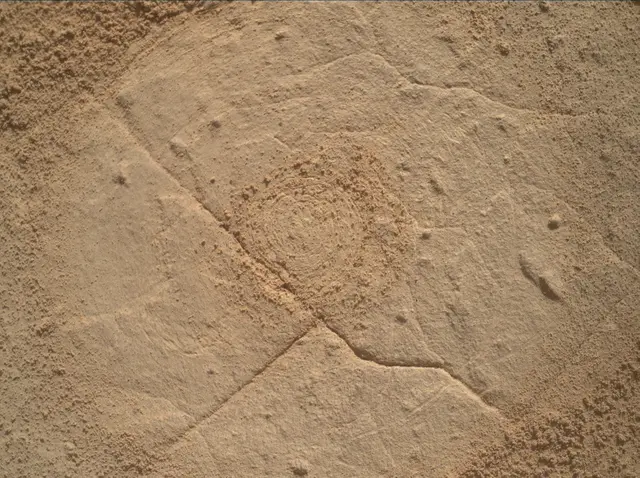 Sol 4445: Mars Hand Lens Imager (MAHLI)