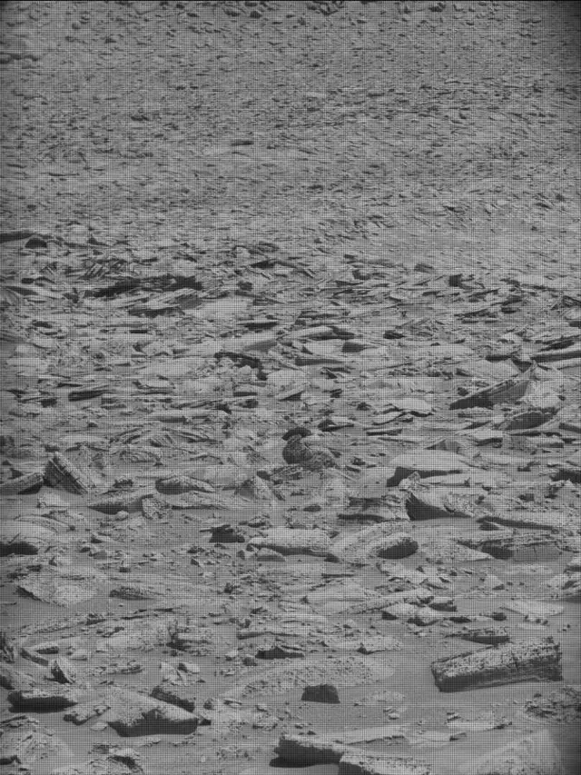 Sol 4446: Mast Camera (Mastcam)