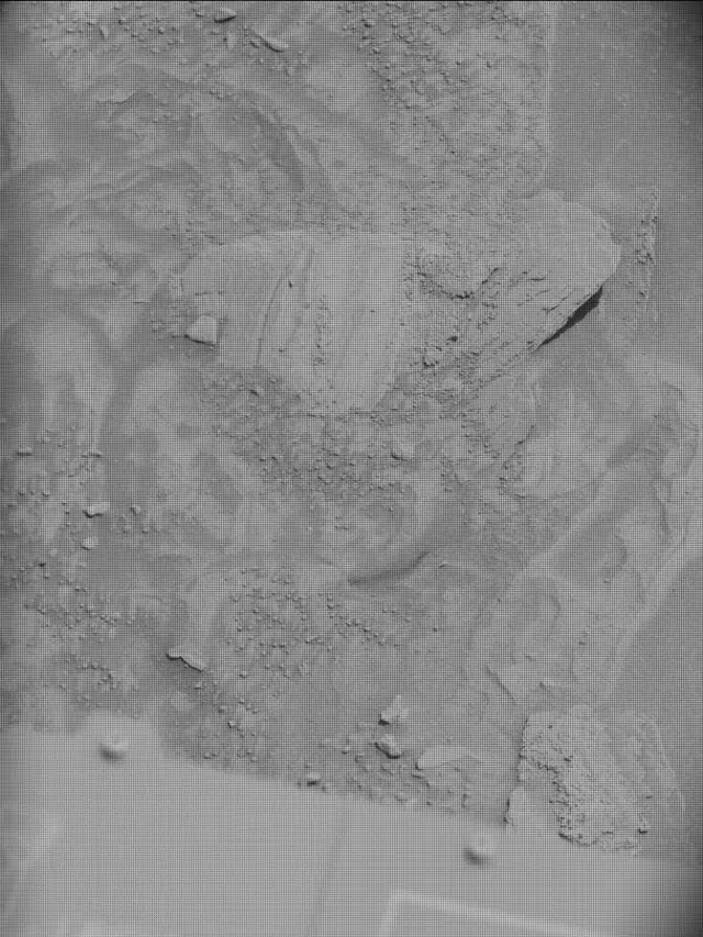 Sol 4446: Mast Camera (Mastcam)