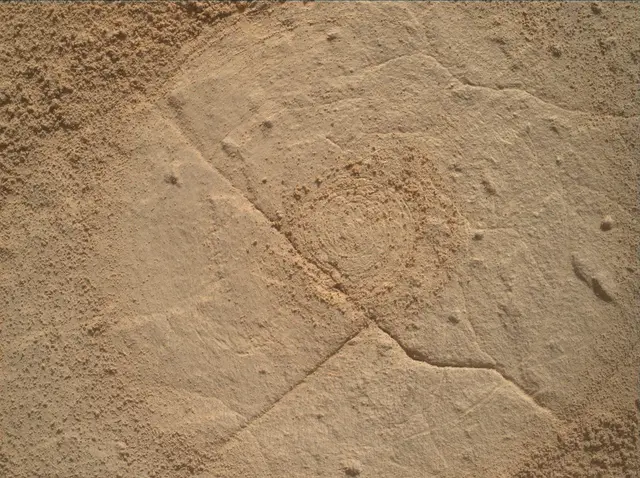 Sol 4446: Mars Hand Lens Imager (MAHLI)