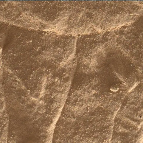 Sol 4447: Mars Hand Lens Imager (MAHLI)