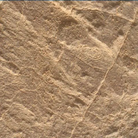 Sol 4447: Mars Hand Lens Imager (MAHLI)