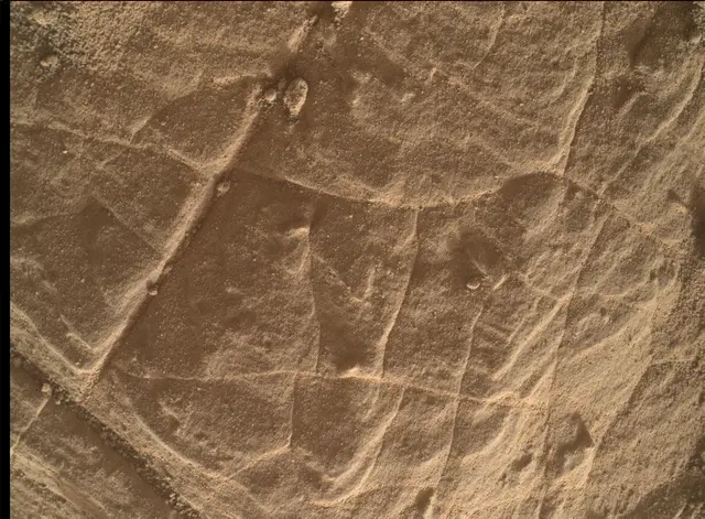 Sol 4447: Mars Hand Lens Imager (MAHLI)