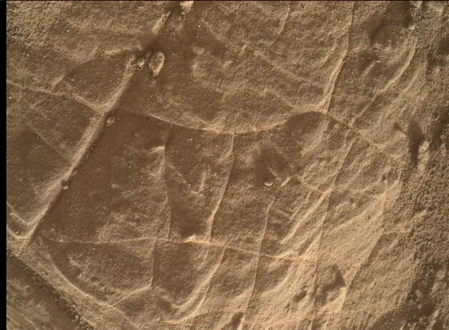 Sol 4447: Mars Hand Lens Imager (MAHLI)