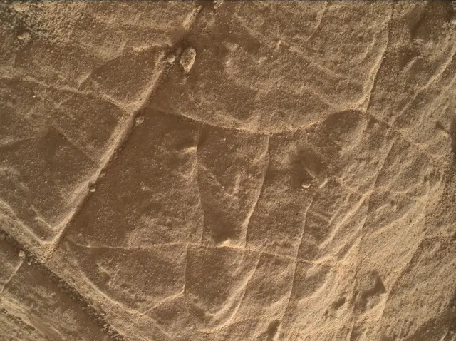 Sol 4447: Mars Hand Lens Imager (MAHLI)