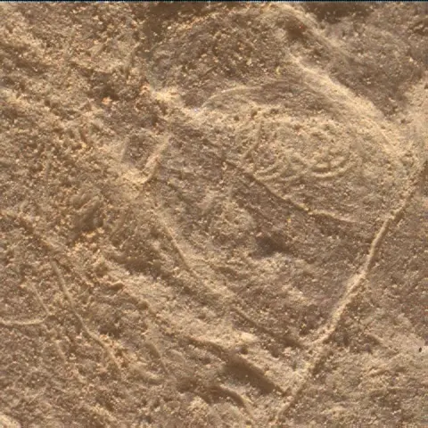 Sol 4447: Mars Hand Lens Imager (MAHLI)
