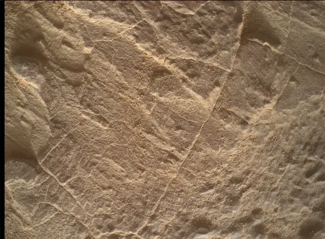 Sol 4447: Mars Hand Lens Imager (MAHLI)