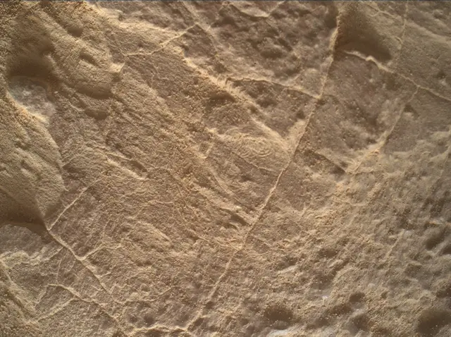 Sol 4447: Mars Hand Lens Imager (MAHLI)