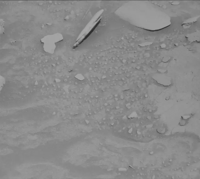 Sol 4449: Mast Camera (Mastcam)
