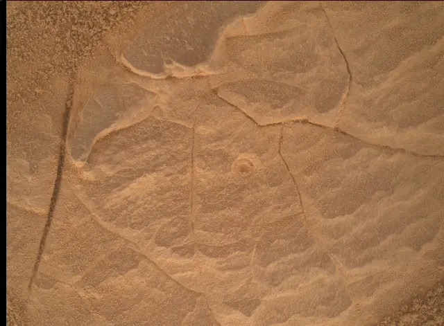 Sol 4452: Mars Hand Lens Imager (MAHLI)