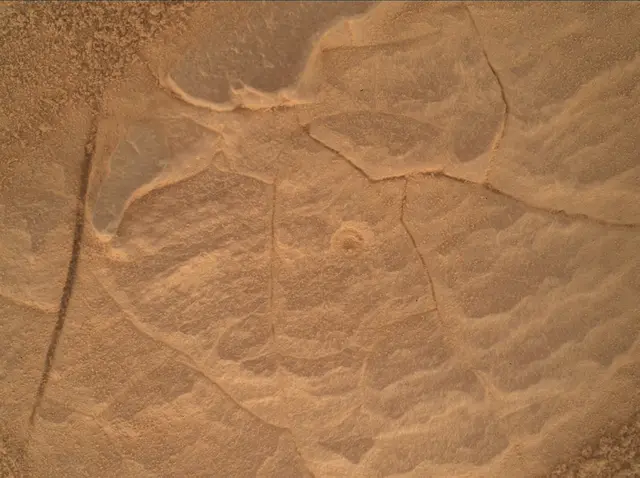 Sol 4452: Mars Hand Lens Imager (MAHLI)