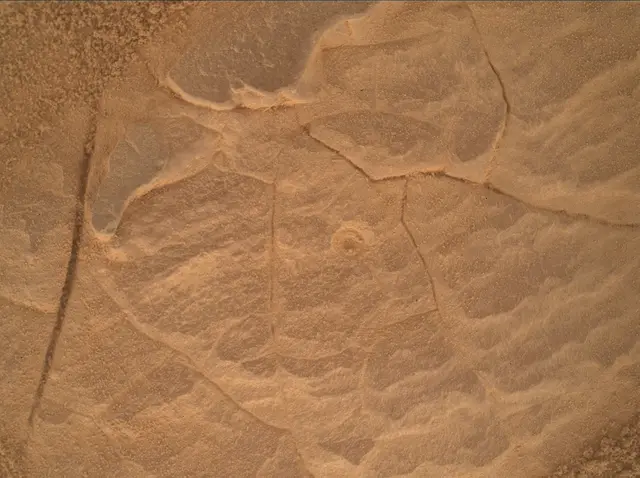 Sol 4452: Mars Hand Lens Imager (MAHLI)