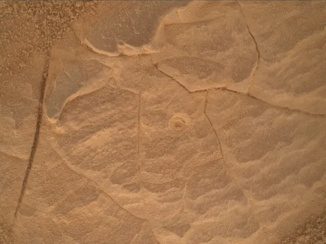 Sol 4452: Mars Hand Lens Imager (MAHLI)