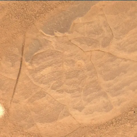 Sol 4452: Mars Hand Lens Imager (MAHLI)