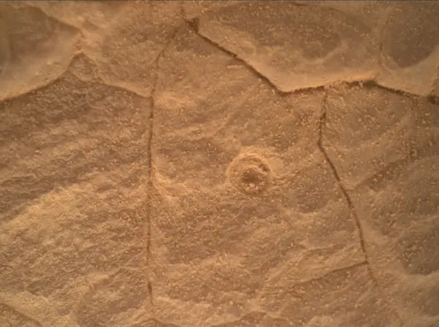 Sol 4452: Mars Hand Lens Imager (MAHLI)