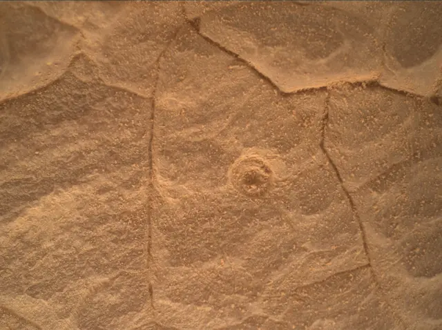 Sol 4452: Mars Hand Lens Imager (MAHLI)