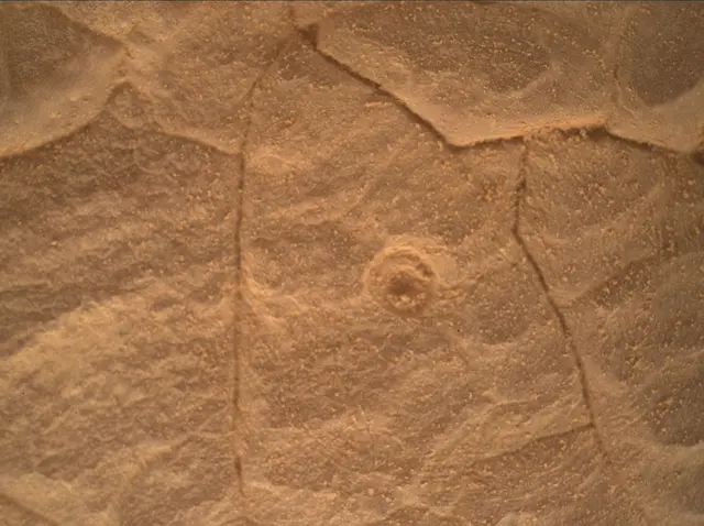 Sol 4452: Mars Hand Lens Imager (MAHLI)