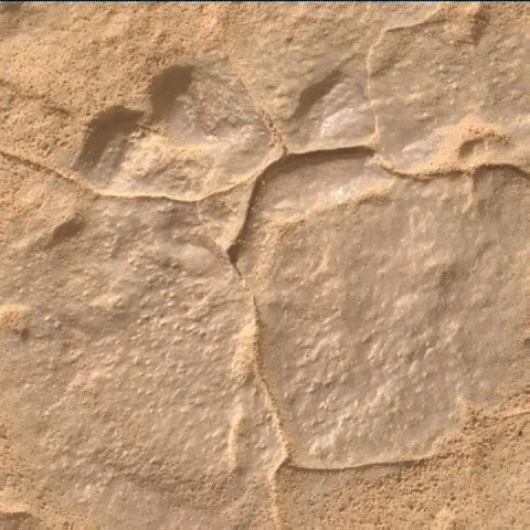 Sol 4455: Mars Hand Lens Imager (MAHLI)