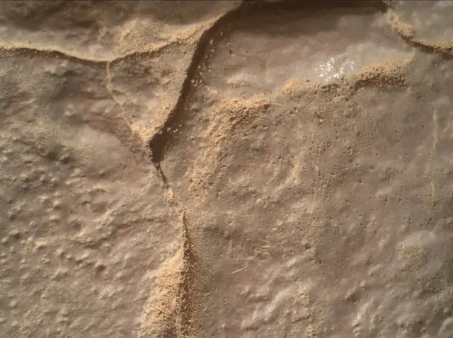Sol 4455: Mars Hand Lens Imager (MAHLI)