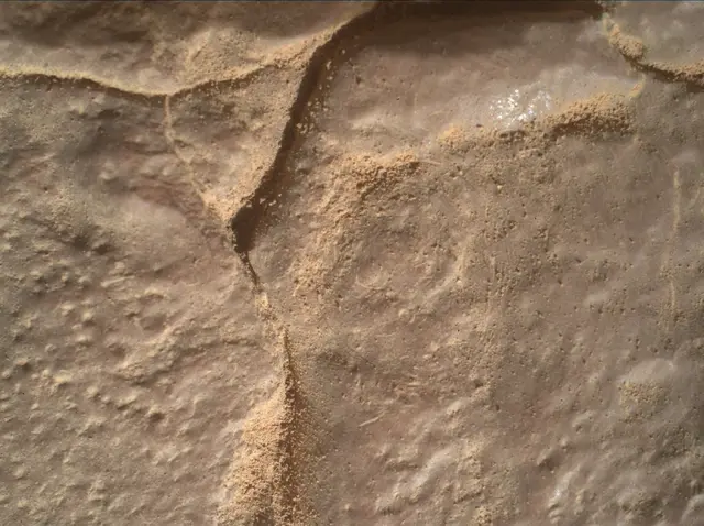 Sol 4455: Mars Hand Lens Imager (MAHLI)