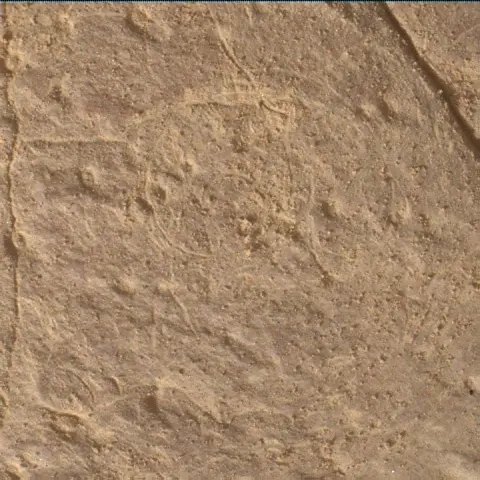 Sol 4458: Mars Hand Lens Imager (MAHLI)