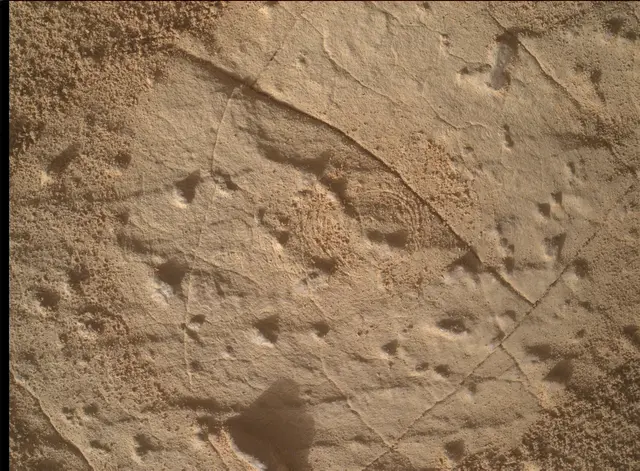 Sol 4458: Mars Hand Lens Imager (MAHLI)