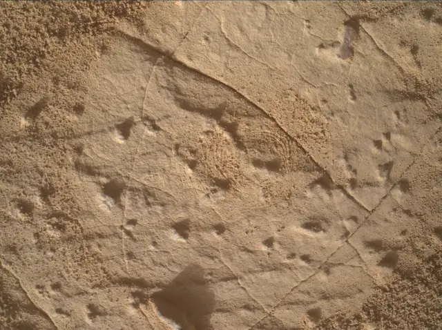 Sol 4458: Mars Hand Lens Imager (MAHLI)