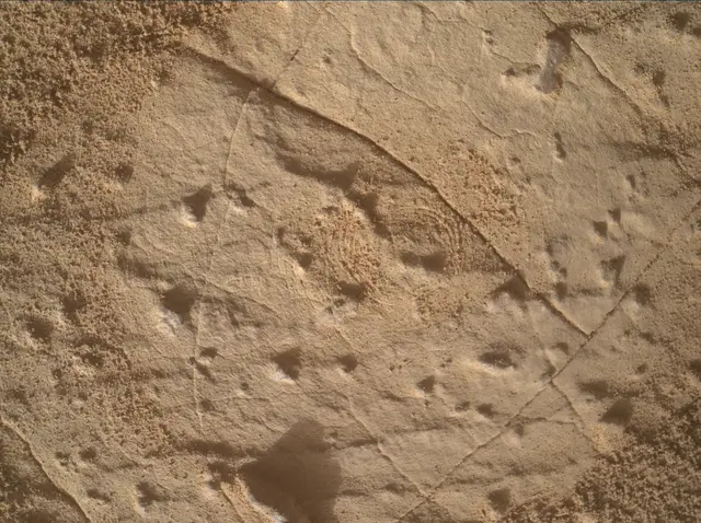 Sol 4458: Mars Hand Lens Imager (MAHLI)