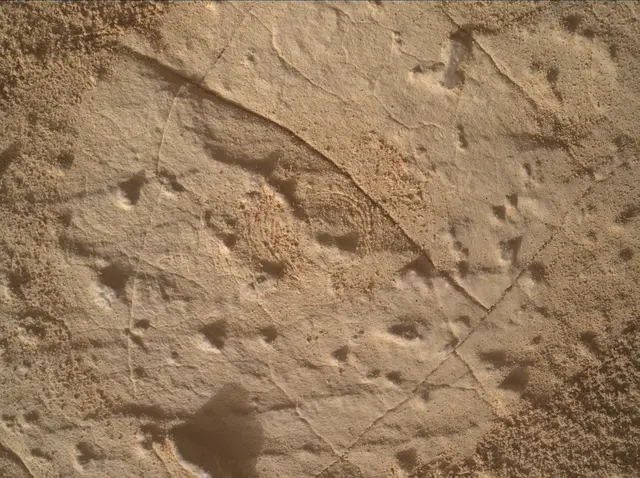 Sol 4458: Mars Hand Lens Imager (MAHLI)