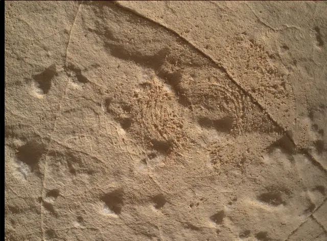 Sol 4458: Mars Hand Lens Imager (MAHLI)