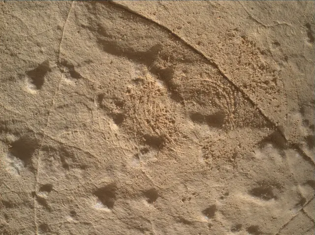Sol 4459: Mars Hand Lens Imager (MAHLI)