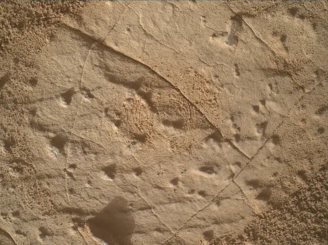 Sol 4459: Mars Hand Lens Imager (MAHLI)