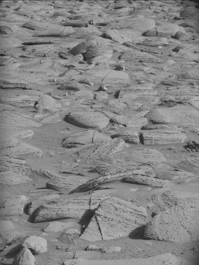 Sol 4464: Mast Camera (Mastcam)
