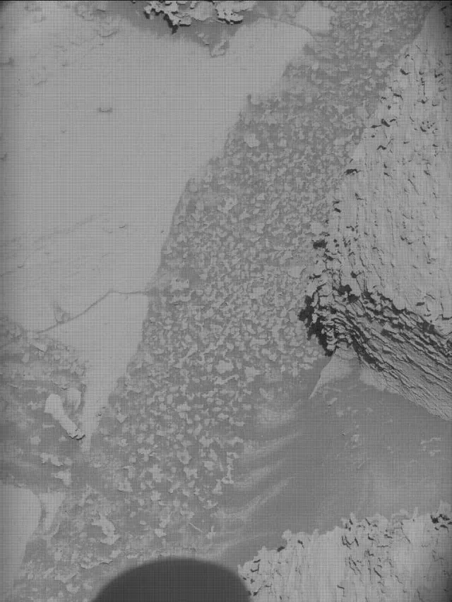 Sol 4469: Mast Camera (Mastcam)