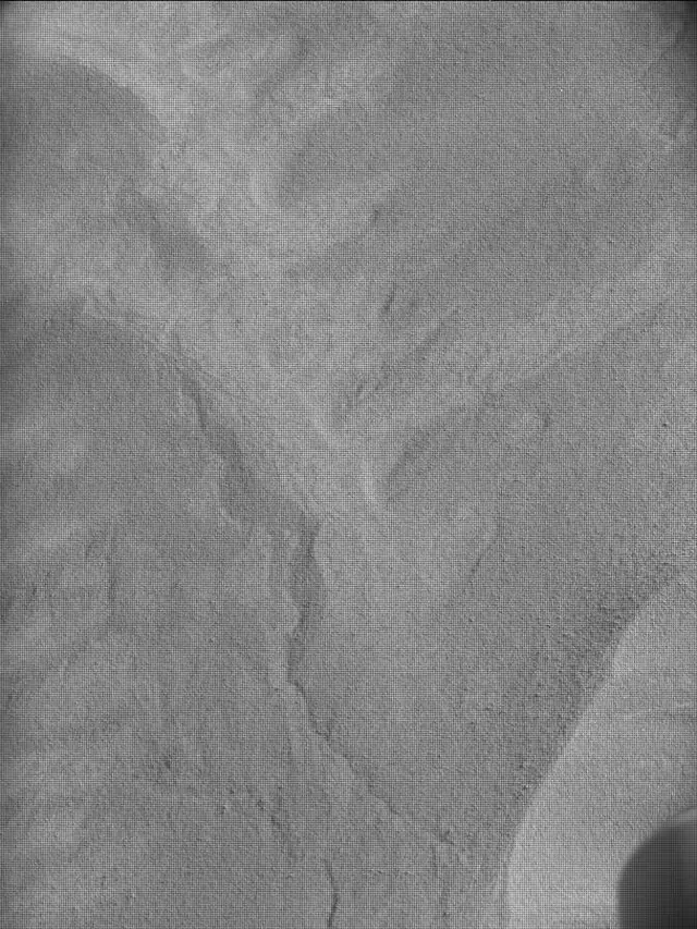 Sol 4473: Mast Camera (Mastcam)