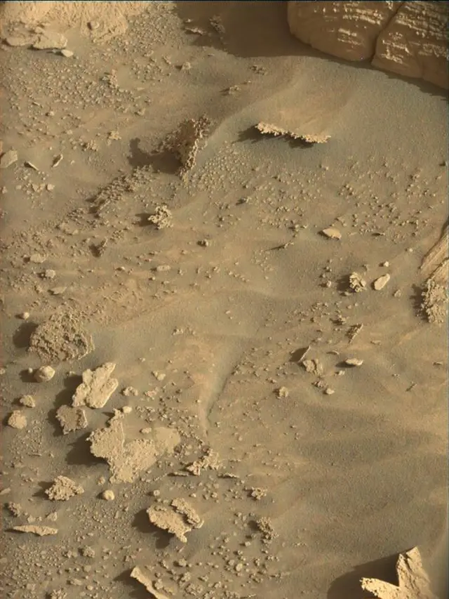 Sol 4473: Mast Camera (Mastcam)