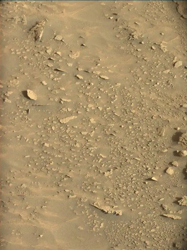 Sol 4473: Mast Camera (Mastcam)