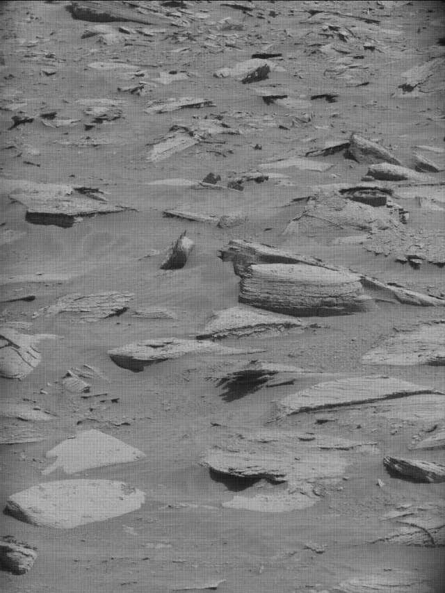 Sol 4475: Mast Camera (Mastcam)