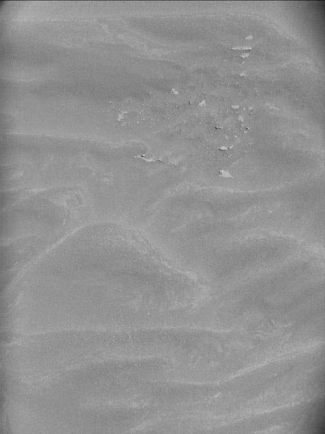 Sol 4475: Mast Camera (Mastcam)