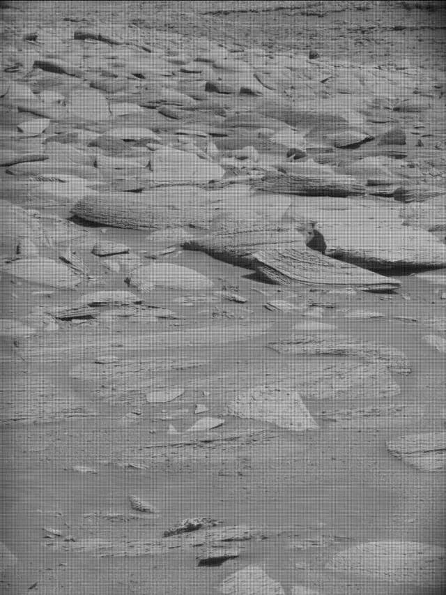 Sol 4475: Mast Camera (Mastcam)