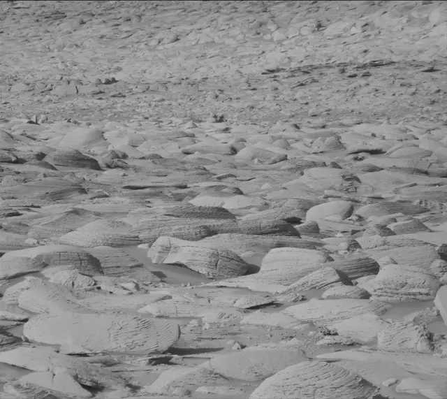 Sol 4476: Mast Camera (Mastcam)