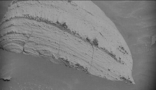 Sol 4478: Mast Camera (Mastcam)