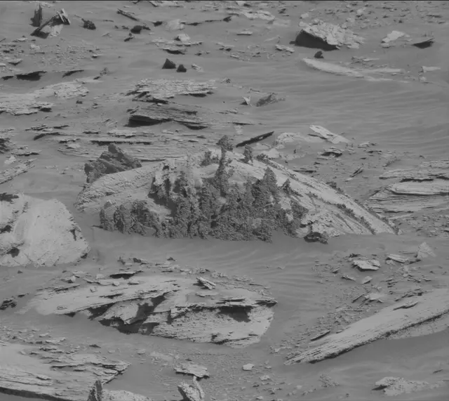 Sol 4479: Mast Camera (Mastcam)