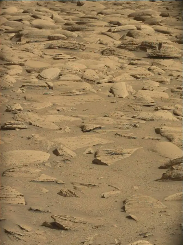 Sol 4480: Mast Camera (Mastcam)